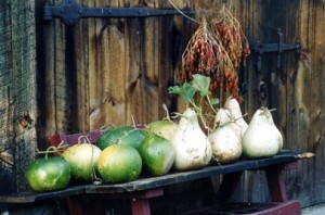 Gourds+-Peppers-2004