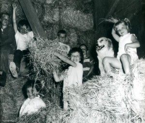 Sams-Hay-mow-Playground